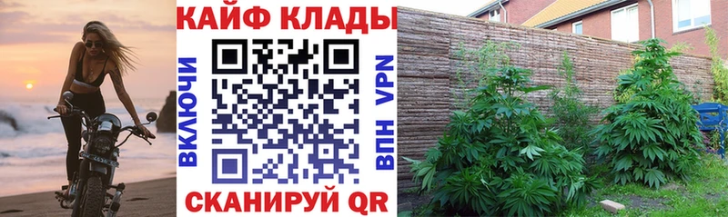 Наркота Артём Гашиш  APVP  Меф мяу мяу  COCAIN 